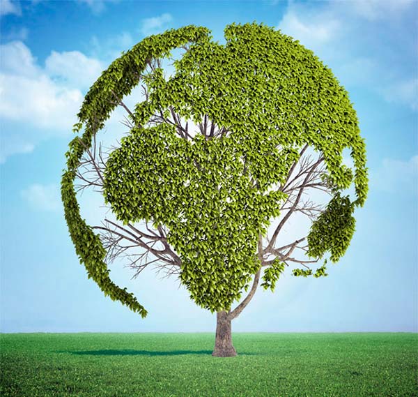 糟渣烘干機(jī) 糟渣烘干機(jī)