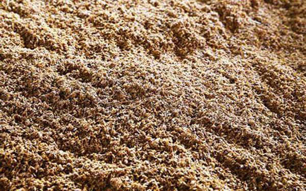 啤酒糟烘干機(jī)使用哪種熱源比較好